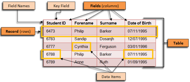 Most important database mcqs such as dbms, rbms, normalization
