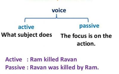 english grammar mcqs for fpsc test pdf